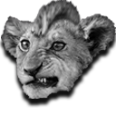 Lionceau