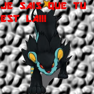Qui est en ligne ?